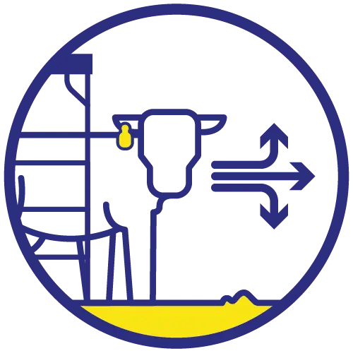 Ikona automatske selekcije krava prema zdravstvenim i reproduktivnim podacima